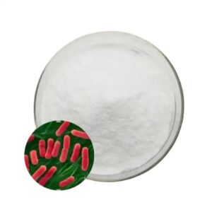Lactobacillus acidophilus powder