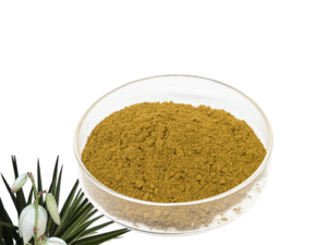 Yucca Extract Powder