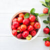 Acerola Extract - Image 5