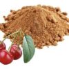 Acerola Extract - Image 3