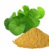 Bacopa Monnieri Extract - Image 4