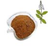Coleus Forskohlii Extract - Image 4