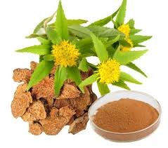 Rhodiola Rosea Extract
