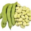 Fava Bean - Image 4