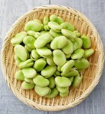 Fava Bean