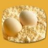 Heat-stable Egg Yolk Powder - Image 3