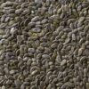 Gleisdorfer Pumpkin Seeds 99,95% - Image 2
