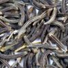 Black Cumin Seeds - Image 3