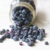 Freeze-Dried Blueberry Scarified - Image 6