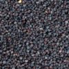 BLUE POPPY SEEDS - Image 5