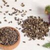 Milk Thistle - Image 3