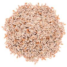 Psyllium