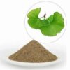 Ginkgo Biloba Extract - Image 5