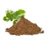 Ginkgo Biloba Extract - Image 3