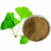 Ginkgo Biloba Extract - Image 2