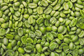 Green Coffee Bean Extract - Image 3