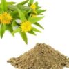 Rhodiola Rosea Extract - Image 4