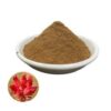Rhodiola Rosea Extract - Image 2