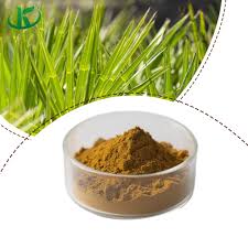 Saw Palmetto Extract