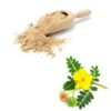 Tribulus Terrestris Extract - Image 7