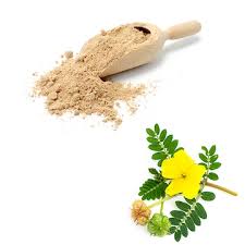 Tribulus Terrestris Extract