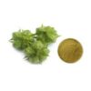Tribulus Terrestris Extract - Image 3