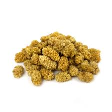 White Mulberry