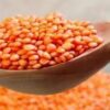 Organic Red Lentil Protein - Image 3