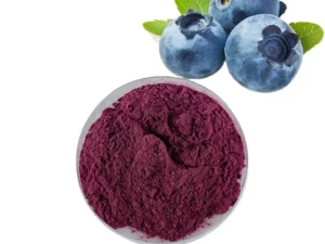 Organic Blueberry Powder