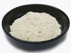 Chondroitin Sulfate Powder