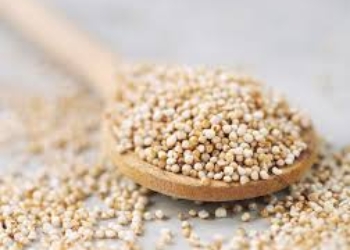 Organic oat bran with germ 2kg