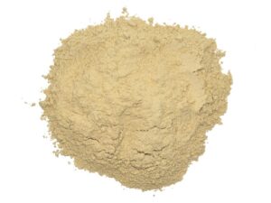 Astragalus Extract Powder