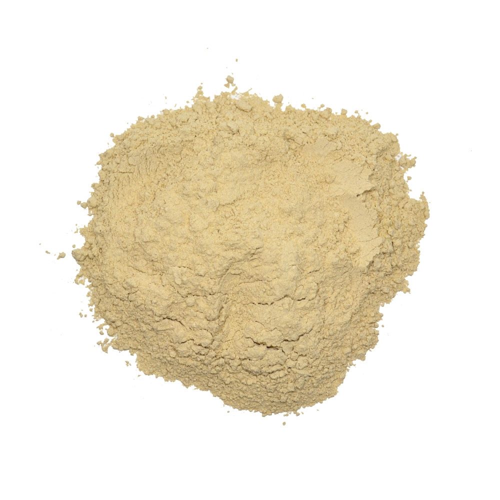 Astragalus Extract Powder