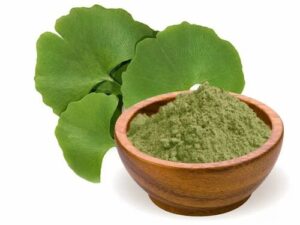 Organic Ginkgo Biloba Leaf Powder