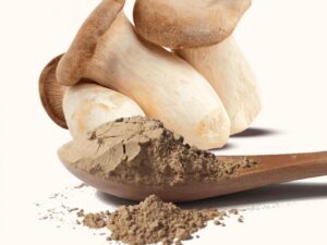 Pleurotus Eryngii Extract/King Oyster Mushroom Extract Powder
