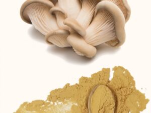 Oyster Mushroom Extract/Pleurotus Ostreatus Extract Powder