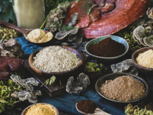 Turkey Tail Mushroom Extract/Coriolus Versicolor Extract Powder