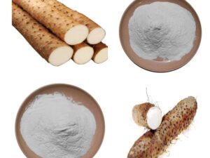 Wild Yam Extract Diosgenin Powder