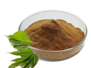 Mulberry Leaf Extract Powder