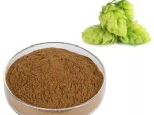 Hops Flower Extract Powder