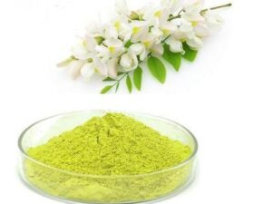Sophora japonica extract Luteolin Powder