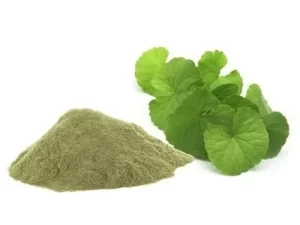 Centella Asiatica Extract/Gotu Kola Extract Powder