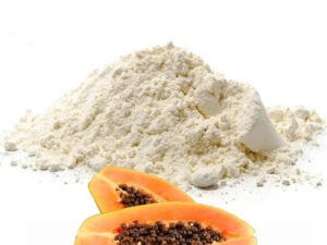 Papain Powder/Papaya Enzyme Powder