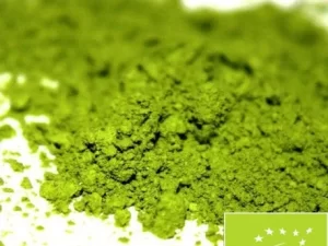 Organic Matcha