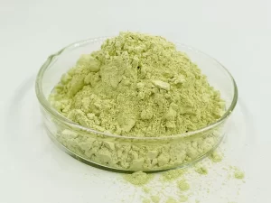 Sophora Japonica Extract Quercetin Powder