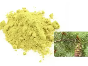 Larch Extract Dihydroquercetin Powder
