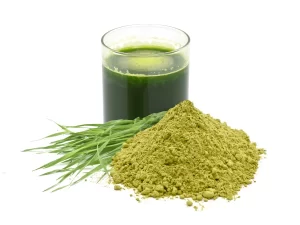 Organic Wheat Grass （juice）Powder