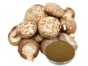 AHCC Powder Shiitake Mushroom Extract