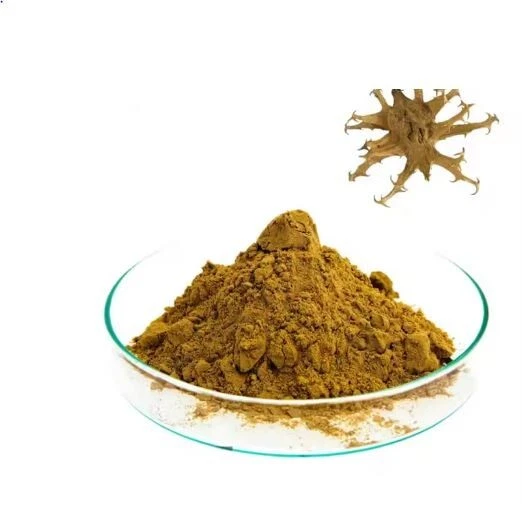 Devil’s Claw Extract Harpagoside Powder