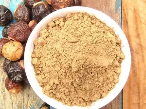 Soapberry Extract Powder